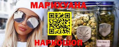 прущие крисы Будённовск